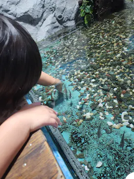 ゼロ距離水族館 伊勢シーパラダイスに投稿された画像（2026/1/6）