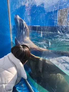 ゼロ距離水族館 伊勢シーパラダイスに投稿された画像（2026/1/6）