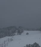 大仙市　大台スキー場に投稿された画像（2026/1/6）