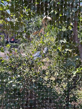 恩賜上野動物園に投稿された画像（2026/1/6）