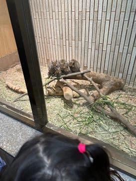 恩賜上野動物園に投稿された画像（2026/1/6）