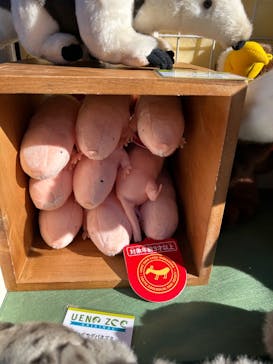 恩賜上野動物園に投稿された画像（2026/1/6）