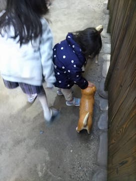 大阪市立住まいのミュージアム（大阪くらしの今昔館）に投稿された画像（2026/1/6）