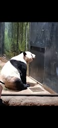 恩賜上野動物園に投稿された画像（2026/1/6）