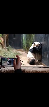 恩賜上野動物園に投稿された画像（2026/1/6）