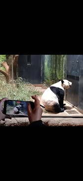 恩賜上野動物園に投稿された画像（2026/1/6）