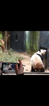 恩賜上野動物園に投稿された画像（2026/1/6）