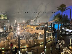 福井県立恐竜博物館に投稿された画像（2026/1/6）