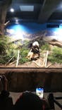 恩賜上野動物園に投稿された画像（2026/1/6）