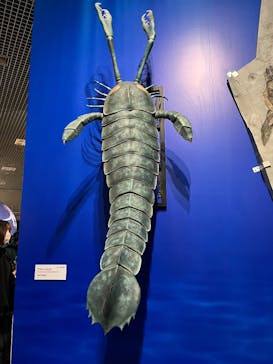 特別展「大絶滅展―生命史のビッグファイブ」に投稿された画像（2026/1/6）