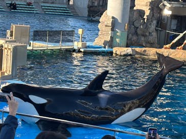 名古屋港水族館に投稿された画像（2026/1/6）