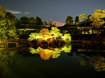 NAKEDヨルマイリ 2025-26 平安神宮に投稿された画像（2026/1/6）