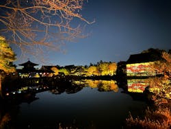 NAKEDヨルマイリ 2025-26 平安神宮に投稿された画像（2026/1/6）