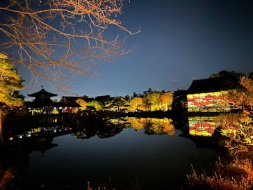 NAKEDヨルマイリ 2025-26 平安神宮に投稿された画像（2026/1/6）