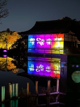 NAKEDヨルマイリ 2025-26 平安神宮に投稿された画像（2026/1/6）