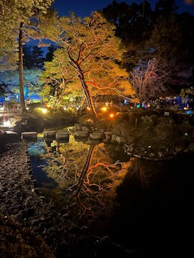 NAKEDヨルマイリ 2025-26 平安神宮に投稿された画像（2026/1/6）