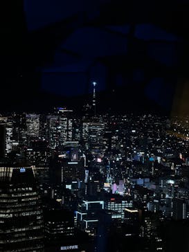 東京タワーに投稿された画像（2026/1/6）