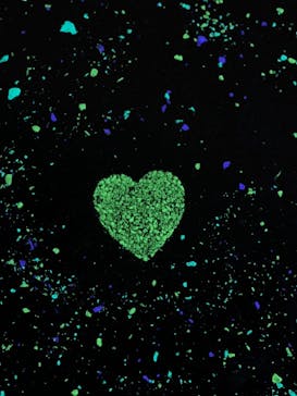 東京タワーに投稿された画像（2026/1/6）