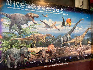 御菓子御殿　名護店　やんばる亜熱帯の森DINO恐竜PARKに投稿された画像（2026/1/6）