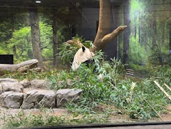 恩賜上野動物園に投稿された画像（2026/1/6）