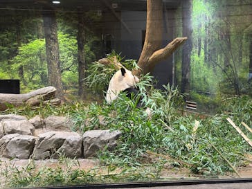 恩賜上野動物園に投稿された画像（2026/1/6）