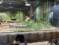 恩賜上野動物園に投稿された画像（2026/1/6）