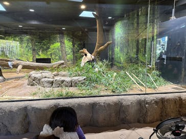 恩賜上野動物園に投稿された画像（2026/1/6）