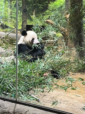 恩賜上野動物園に投稿された画像（2026/1/6）