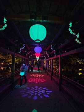 NAKEDヨルマイリ 2025-26 平安神宮に投稿された画像（2026/1/6）