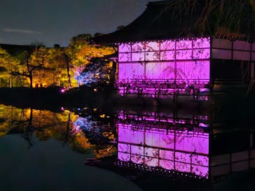 NAKEDヨルマイリ 2025-26 平安神宮に投稿された画像（2026/1/6）