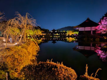 NAKEDヨルマイリ 2025-26 平安神宮に投稿された画像（2026/1/6）