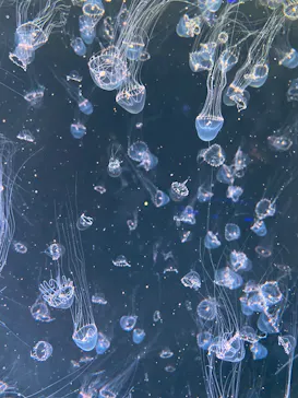 仙台うみの杜水族館に投稿された画像（2026/1/6）