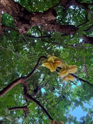 おきなわワールドに投稿された画像（2026/1/6）