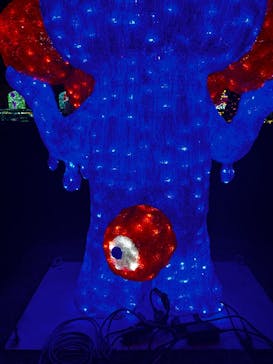 神戸イルミナージュに投稿された画像（2026/1/6）