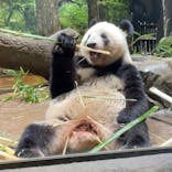 恩賜上野動物園に投稿された画像（2026/1/7）