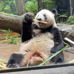 恩賜上野動物園に投稿された画像（2026/1/6）