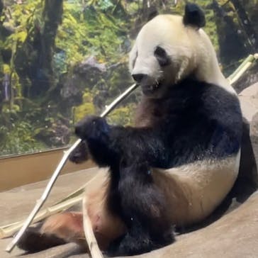 恩賜上野動物園に投稿された画像（2026/1/6）