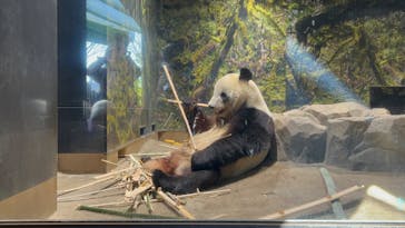 恩賜上野動物園に投稿された画像（2026/1/6）