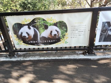 恩賜上野動物園に投稿された画像（2026/1/6）