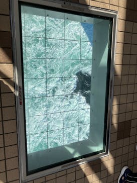 徳島県立 渦の道に投稿された画像（2026/1/6）