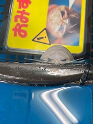 竹島水族館に投稿された画像（2026/1/6）