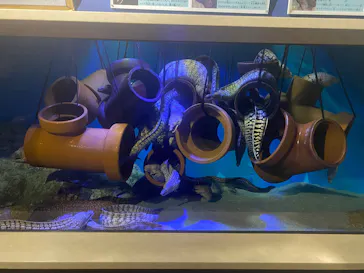 竹島水族館に投稿された画像（2026/1/6）