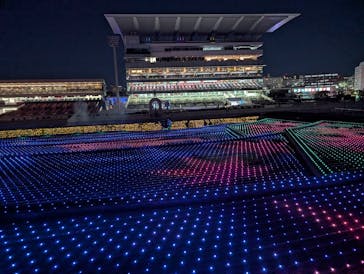 東京メガイルミに投稿された画像（2026/1/6）