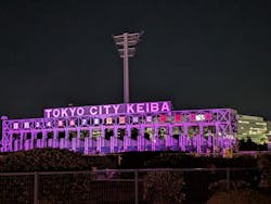 東京メガイルミに投稿された画像（2026/1/6）