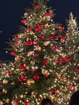 Christmas Market in 横浜赤レンガ倉庫 2025に投稿された画像（2026/1/7）