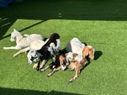 CAVE OKINAWAに投稿された画像（2026/1/7）