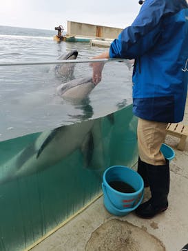 城崎マリンワールドに投稿された画像（2026/1/7）