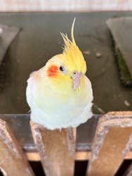 Moff animal cafe 小田原ダイナシティ店に投稿された画像（2026/1/7）