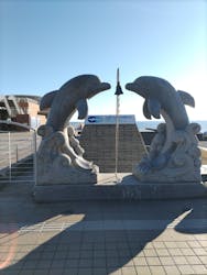 アクアワールド茨城県大洗水族館に投稿された画像（2026/1/7）