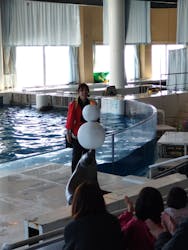 アクアワールド茨城県大洗水族館に投稿された画像（2026/1/7）